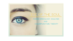 Logo Design by johnsapla for Eye of The Soul, Hawaii | Design: #3553370