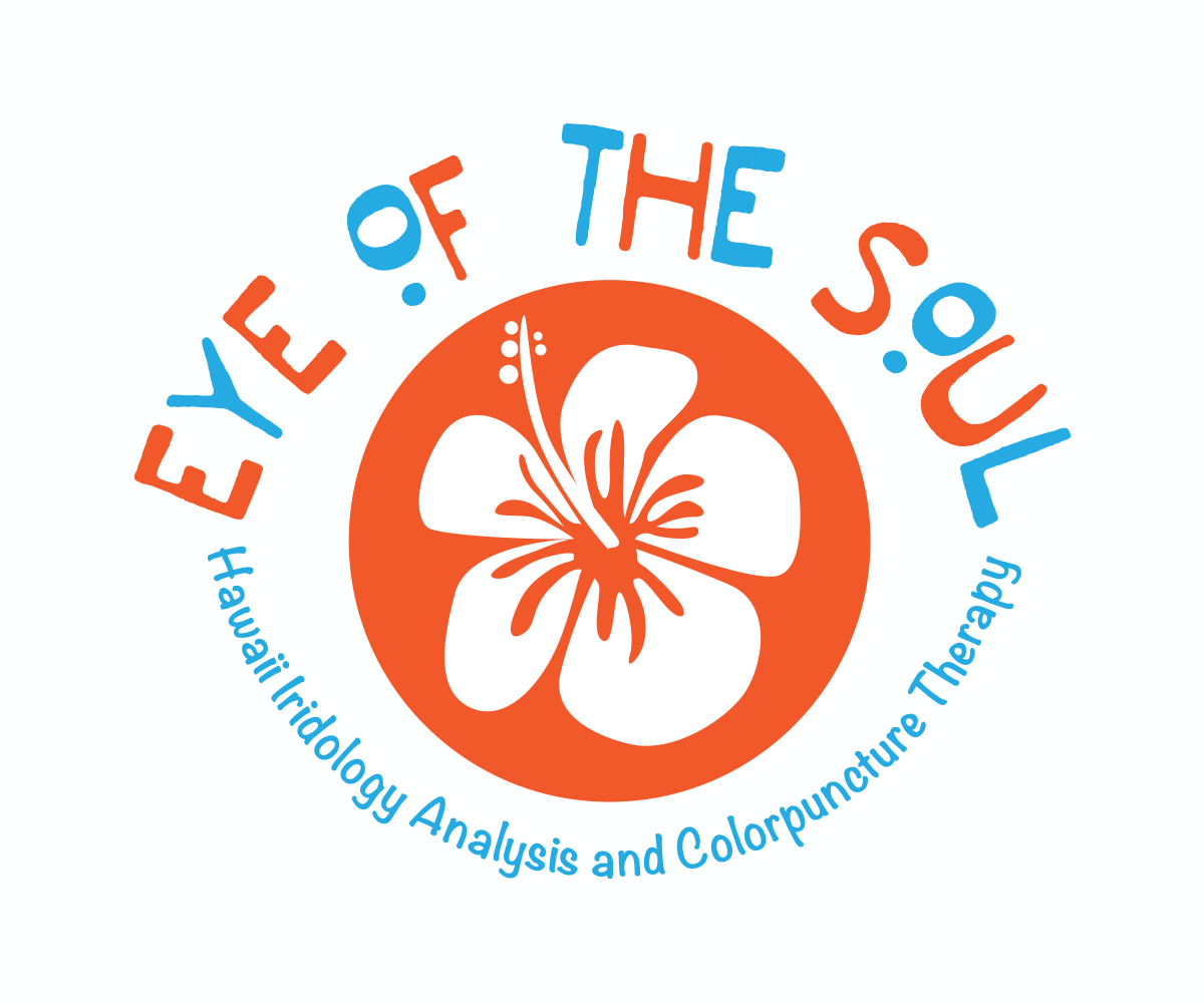Logo-Design von HotGeckoMedia für Eye of The Soul, Hawaii | Design #3581825