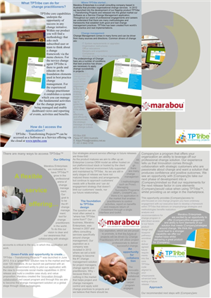 Brochure Design by vargatunde for this project | Design: #3567731
