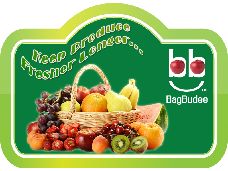 Graphic Design by susi007 for this project | Design #890236