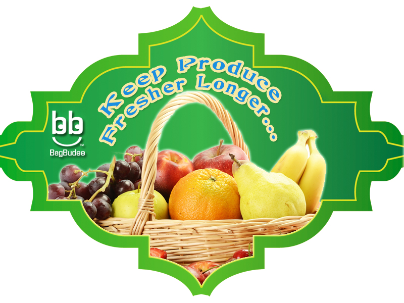 Graphic Design by susi007 for this project | Design #892629