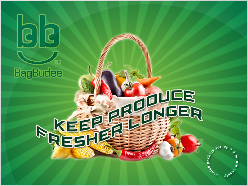 Graphic Design by susi007 for this project | Design #897423