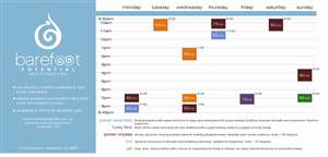 Design de Flyer par urbanemethod pour Barefoot Potential | Design : #3560637