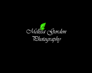 Logo Design by fing