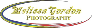 Logo Design by Andre