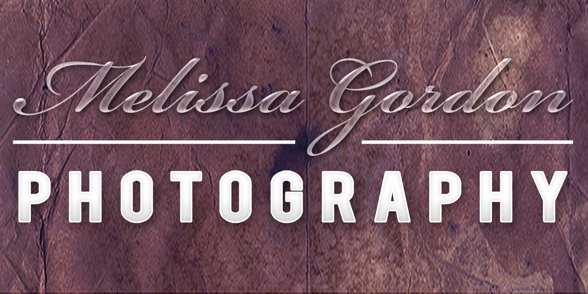 Logo Design by Paul for this project | Design #897889