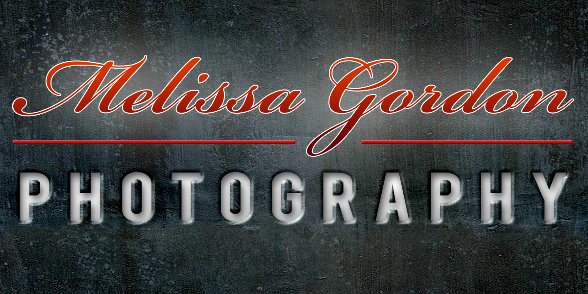 Logo Design by Paul for this project | Design #897892