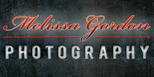 Logo Design by Paul for this project | Design: #897892