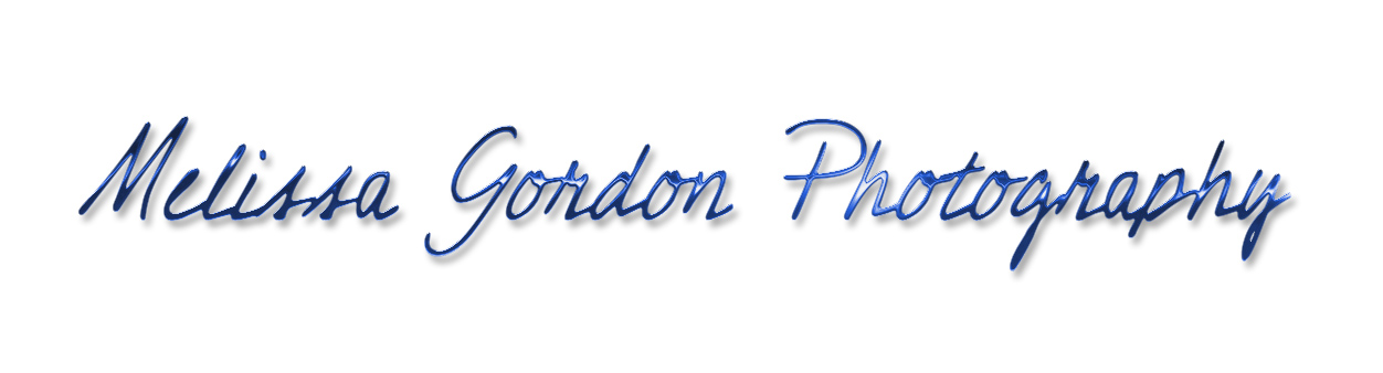 Logo-Design von Ldesigns für dieses Projekt | Design #901537