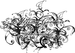 Logo Design by Vladislav Rizov