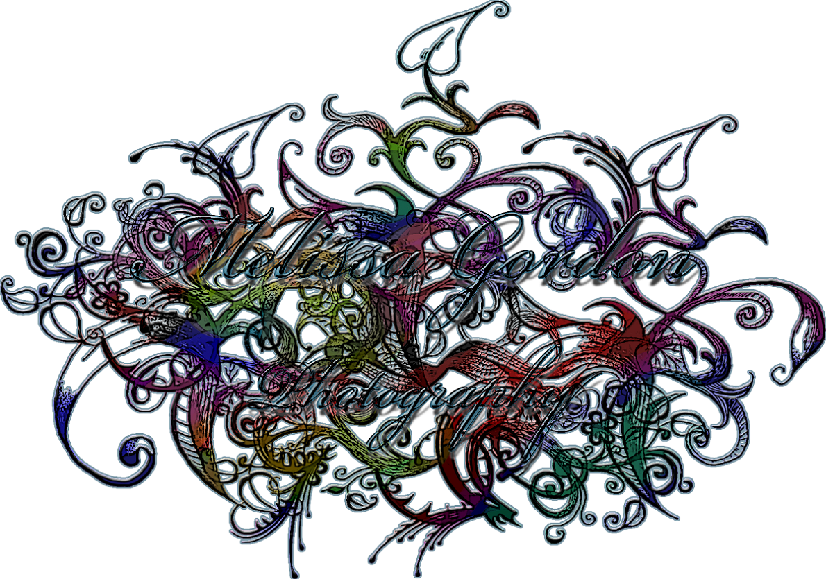 Logo Design by Vladislav Rizov for this project | Design #902951