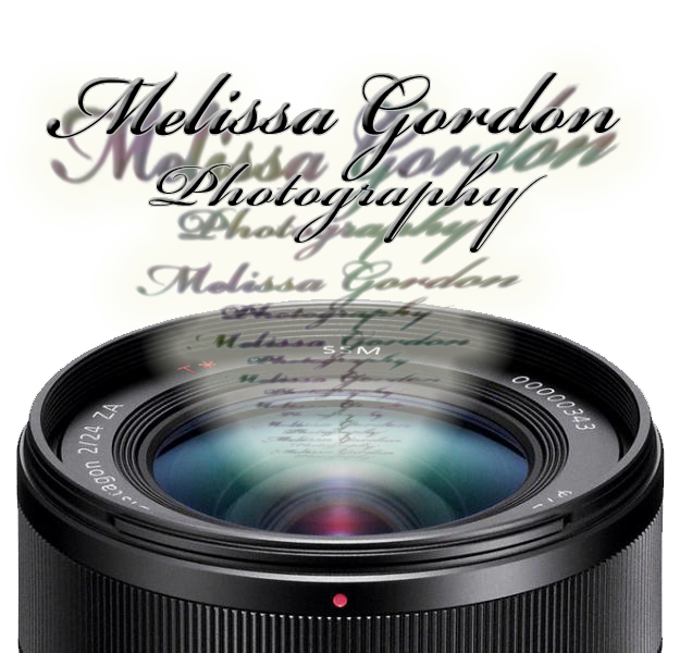 Logo Design by Vladislav Rizov for this project | Design #903648