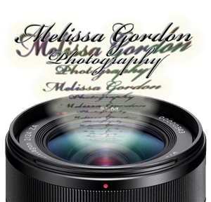 Logo Design by Vladislav Rizov for this project | Design: #903648