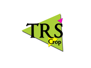 Logo Design by Jahangir Noor for this project | Design: #3559982