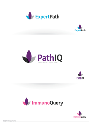 Logo Design by Marius Fechete for Amirsys | Design: #3584439