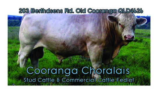 Business Card Design by HK Grafix for Cooranga Charolais | Design #3569796