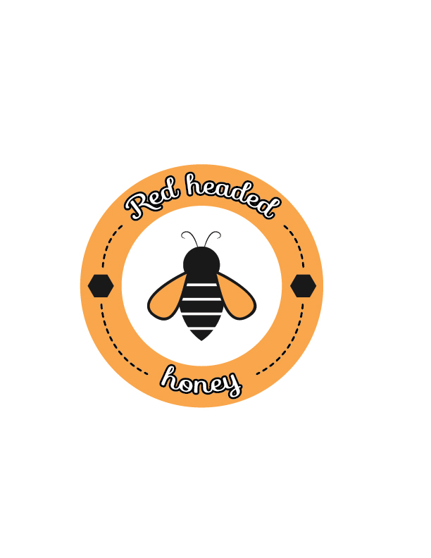 Diseño de Logo por Designin para este proyecto | Diseño #3604973