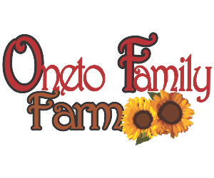 Logo Design by Lariza Vermeulen