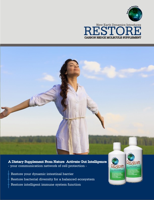 Brochure Design by hema dhawan for this project | Design #3651227