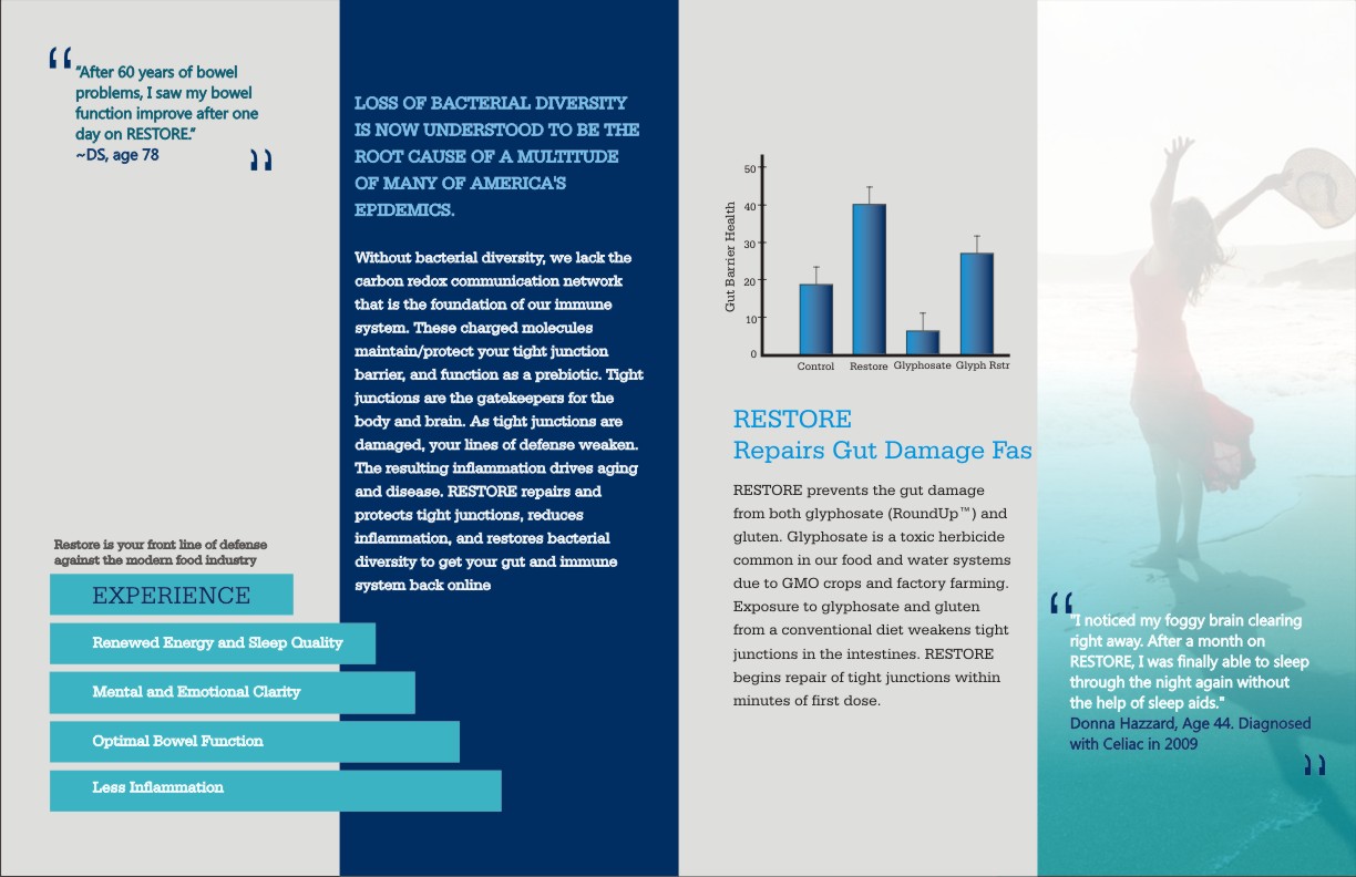 Brochure Design by hema dhawan for this project | Design #3651230