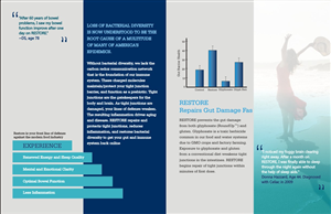 Brochure Design by hema dhawan for this project | Design: #3651230