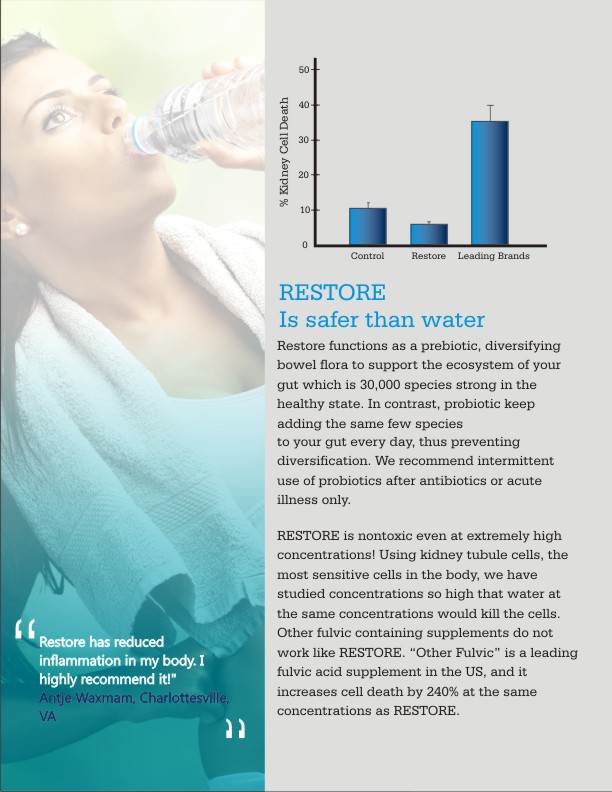 Brochure Design by hema dhawan for this project | Design #3651231