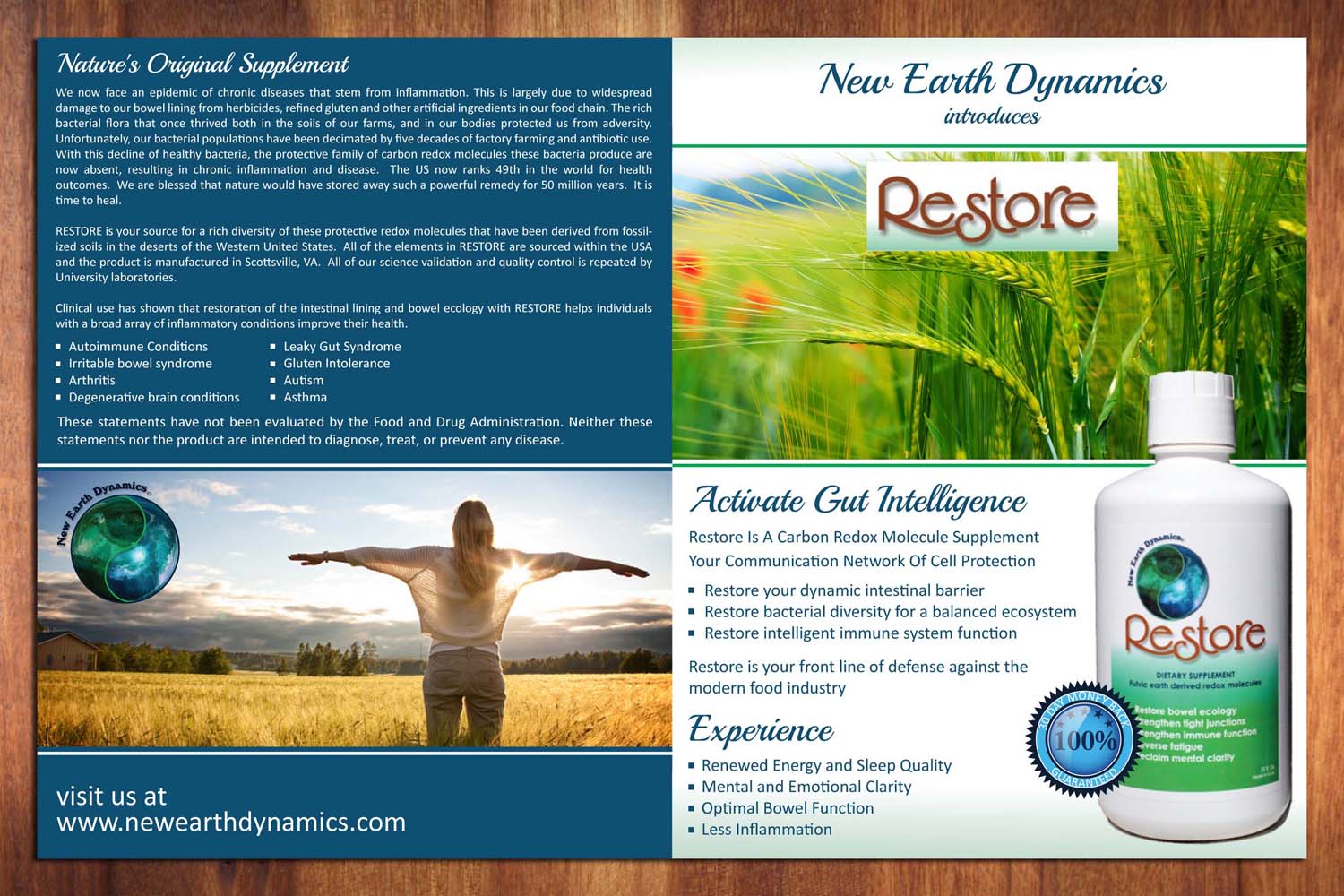 Brochure Design by Sbss for this project | Design #3609547