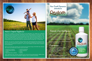 Brochure Design by Sbss for this project | Design: #3609612