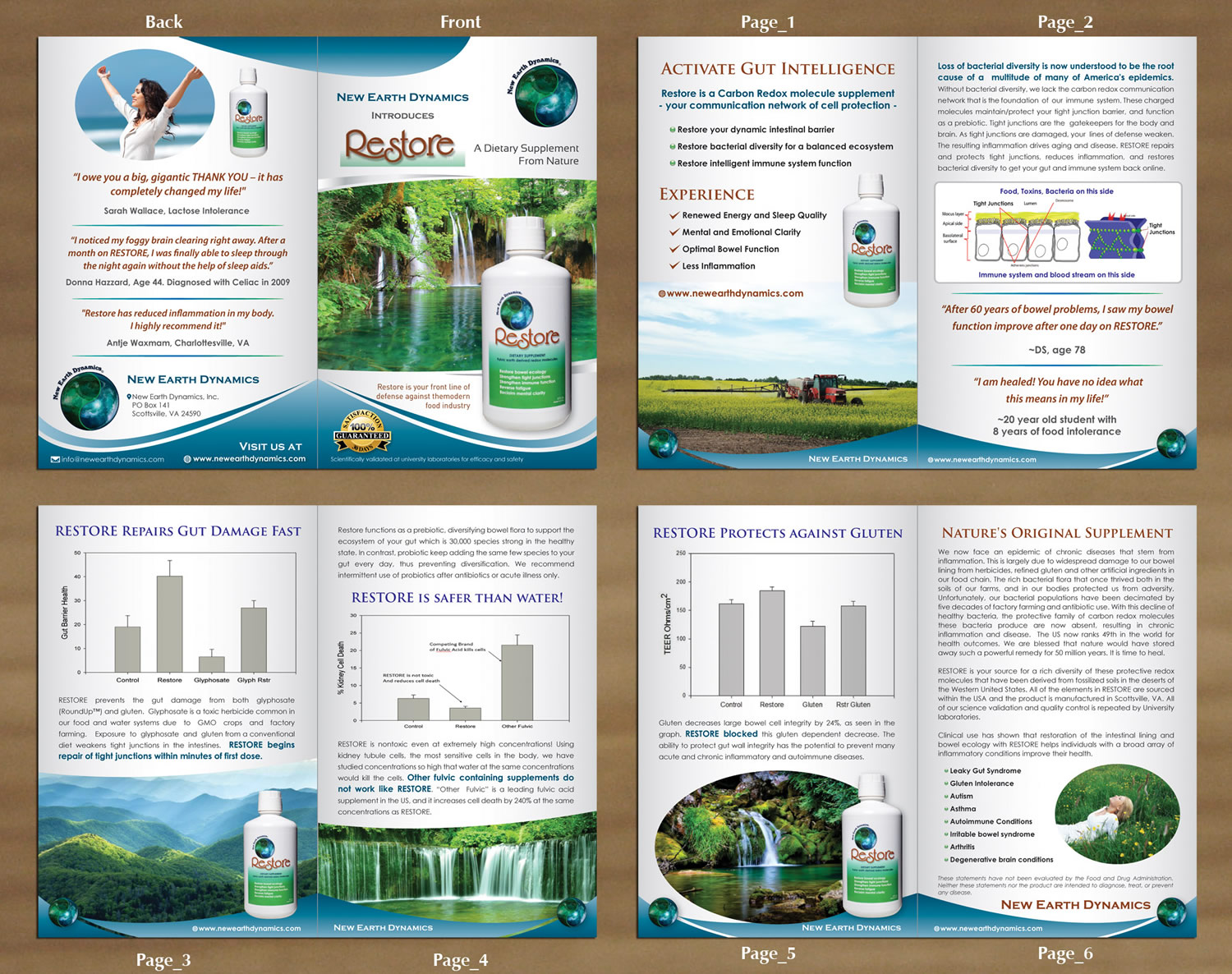 Brochure Design by Sbss for this project | Design #3682682