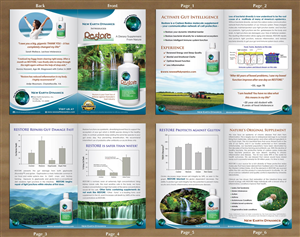 Brochure Design by Sbss for this project | Design: #3682682