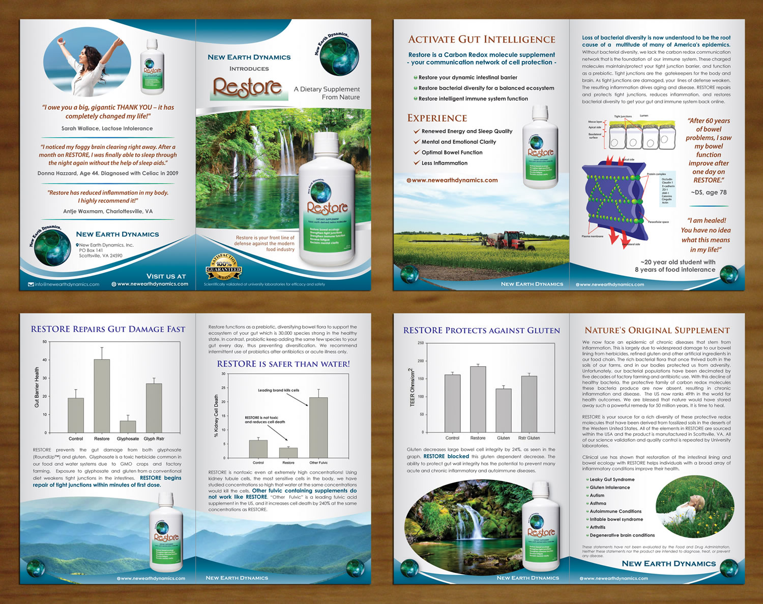 Brochure Design by Sbss for this project | Design #3701658