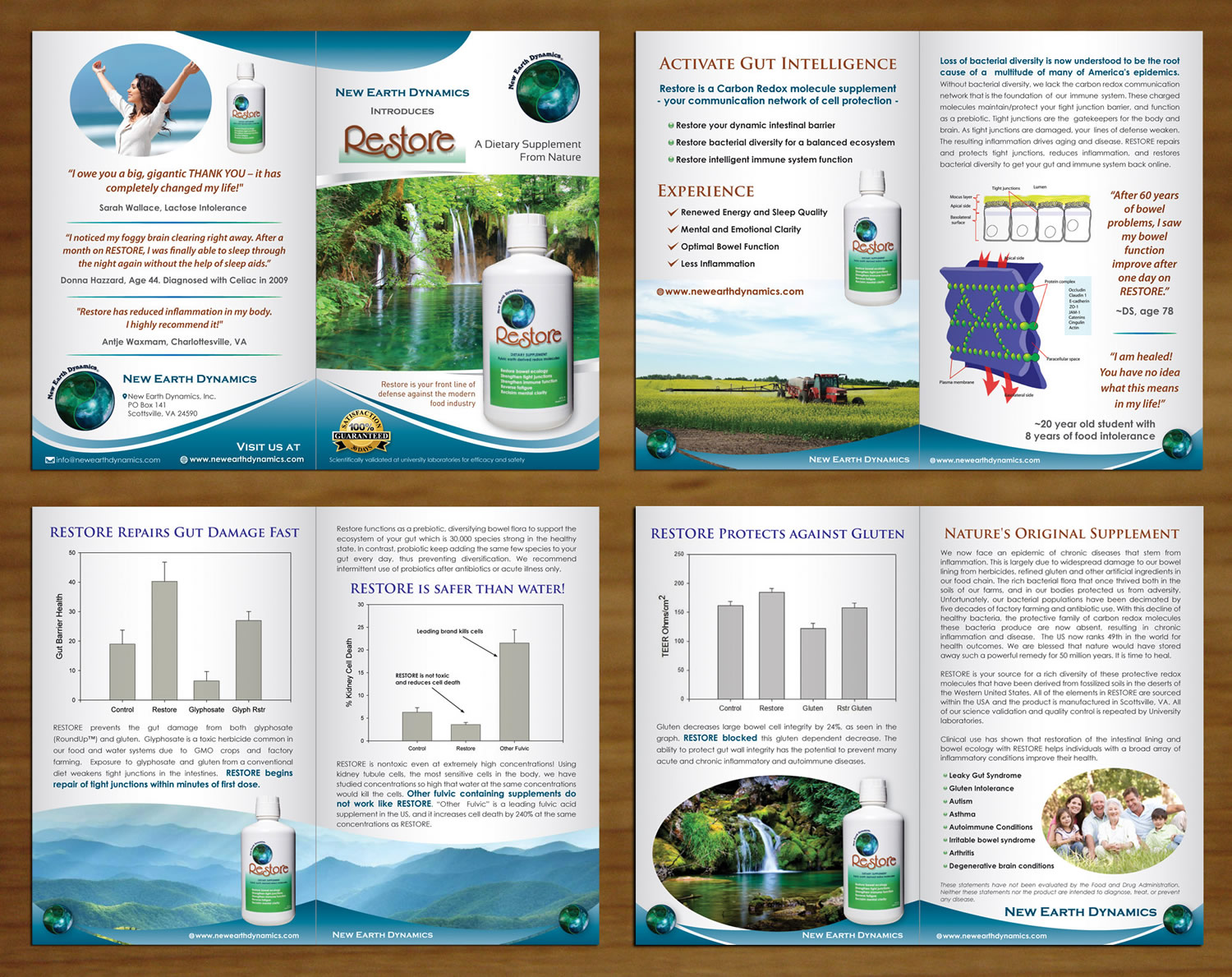 Broschüren-Design von Sbss für dieses Projekt | Design #3713909