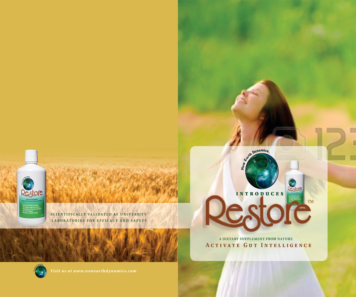 Brochure Design by Dejuner for this project | Design #3611256