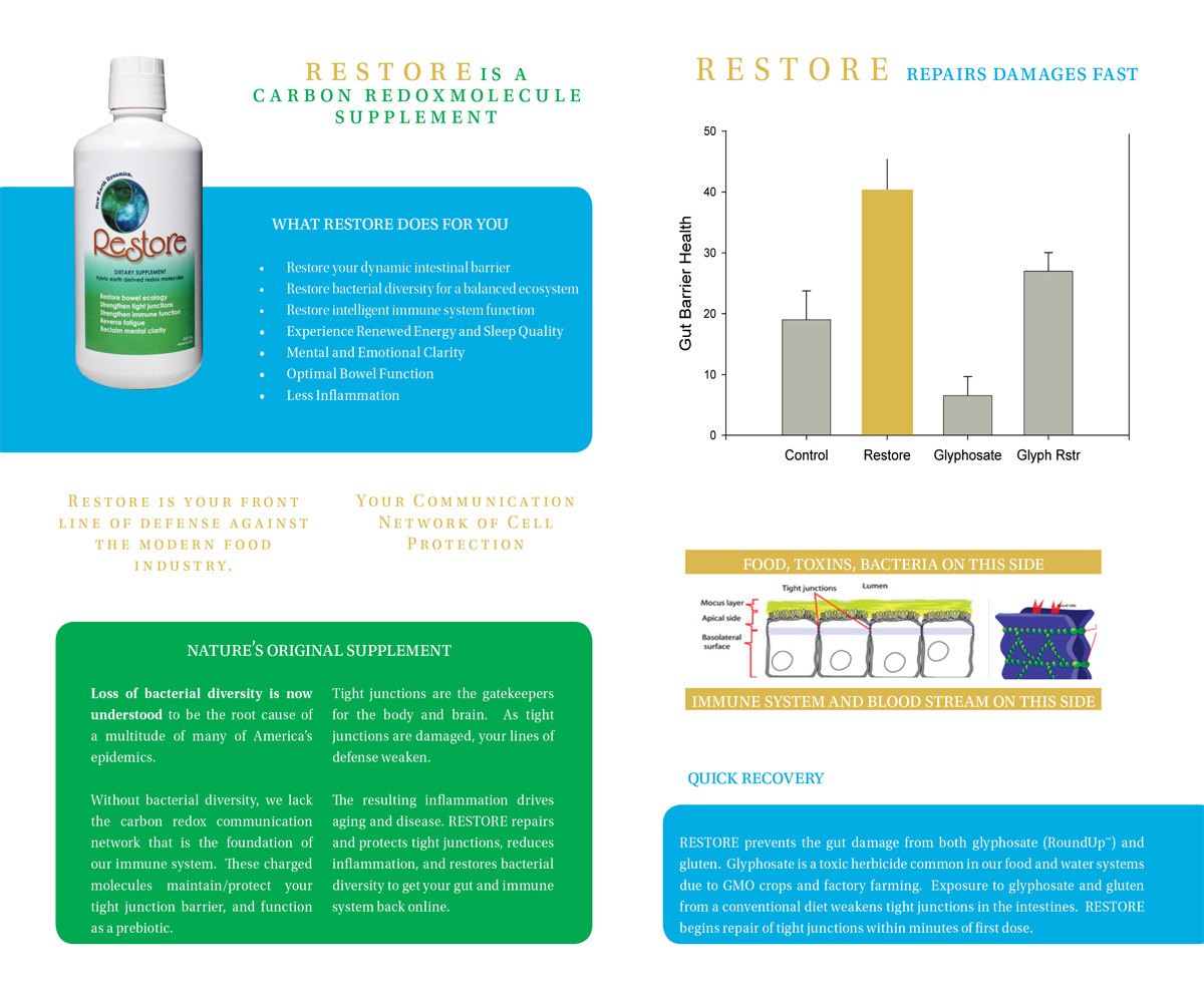 Brochure Design by Dejuner for this project | Design #3611260