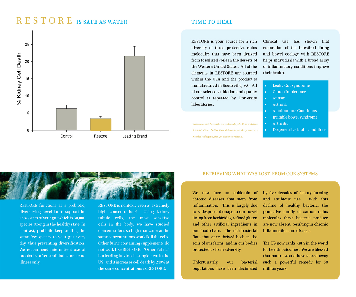 Brochure Design by Dejuner for this project | Design #3611263