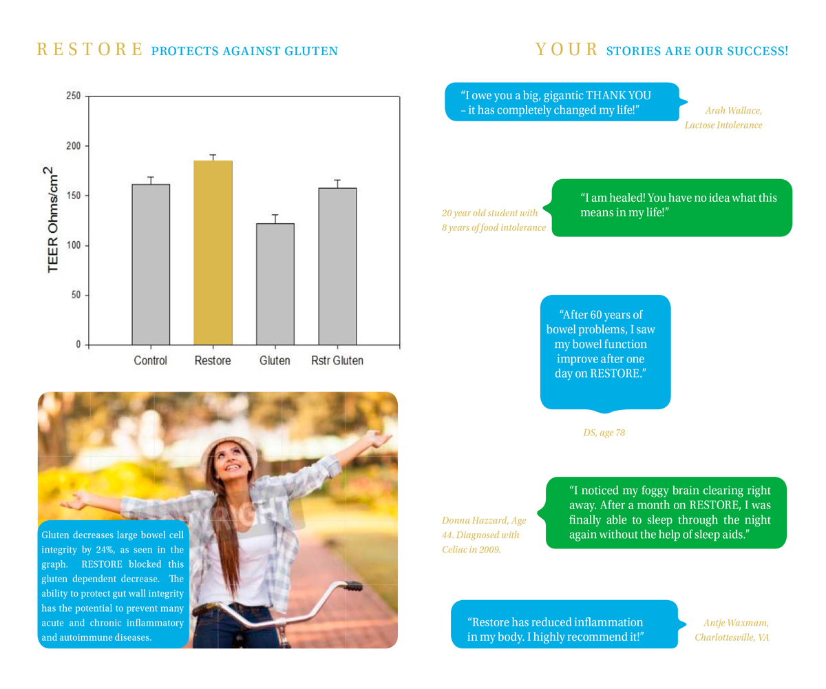 Brochure Design by Dejuner for this project | Design #3611265