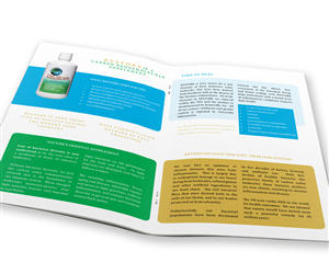 Brochure Design by Dejuner for this project | Design: #3611271