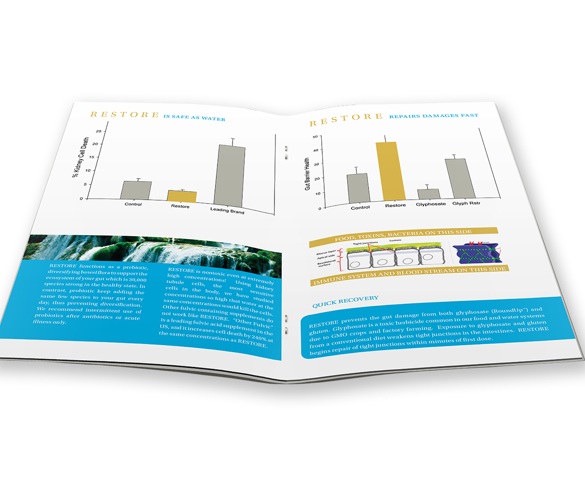 Diseño de Brochure por Dejuner para este proyecto | Diseño #3611276