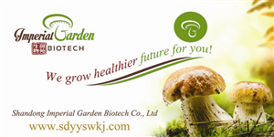 Graphic Design by uk for this project | Design #3650769