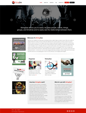 Web Design by Mayank Patel for StringDae Inc. | Design: #3601791