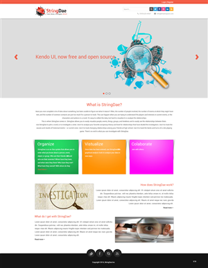 Web Design by pb for StringDae Inc. | Design: #3595283