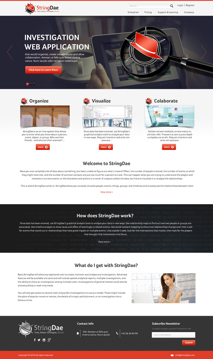 Web Design by Behriatech for StringDae Inc. | Design #3589745