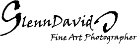 Logo Design by Iris Design