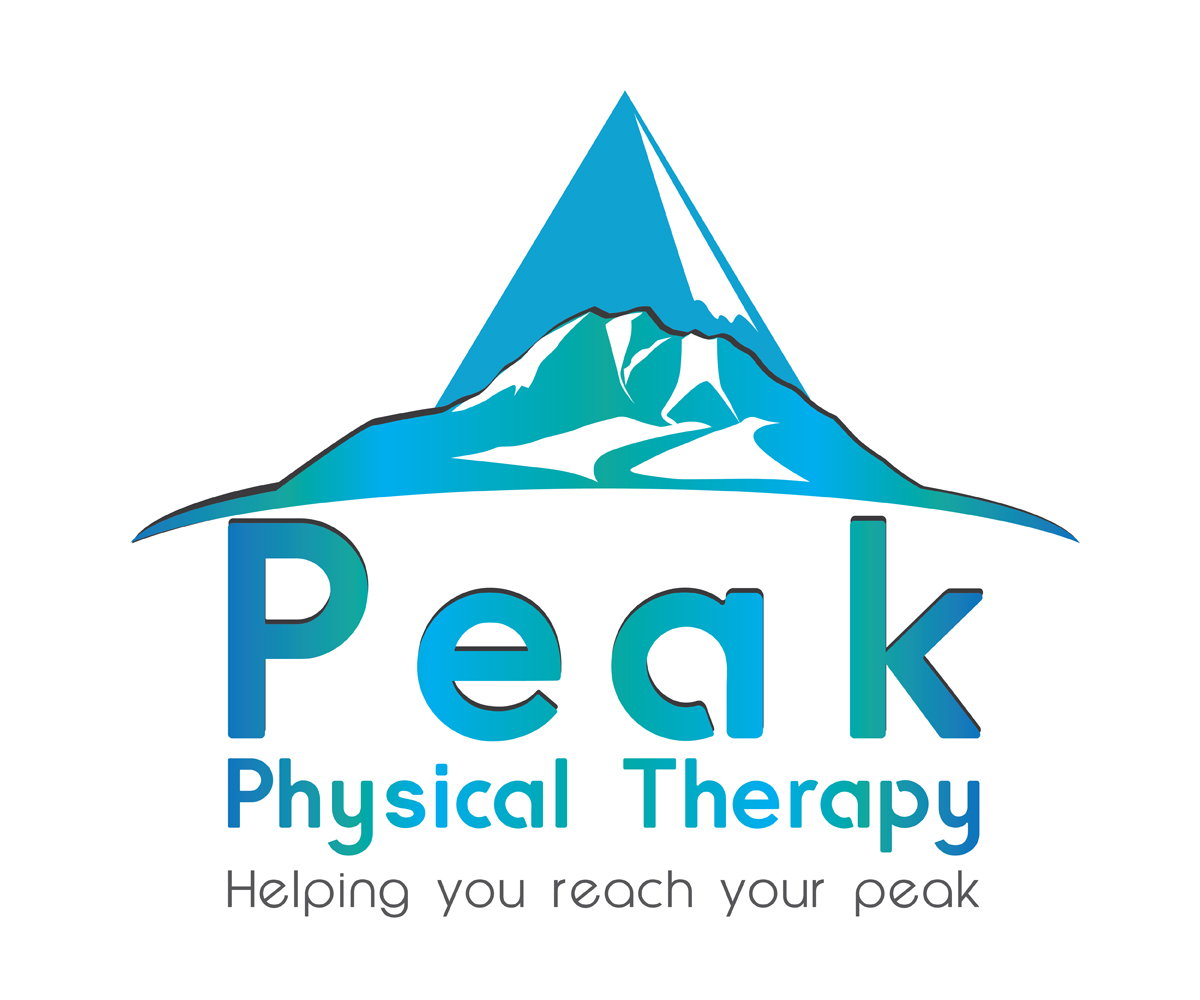 Logo Design by Filip M for Peak Physical Therapy | Design #3666131