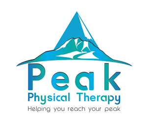 Design de Logo par Filip M pour Peak Physical Therapy | Design : #3666131
