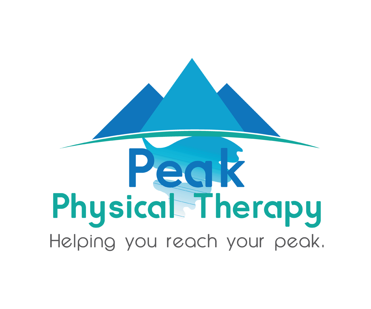 Logo Design by Filip M for Peak Physical Therapy | Design #3667003