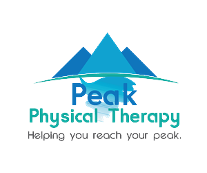Design de Logo par Filip M pour Peak Physical Therapy | Design : #3667003