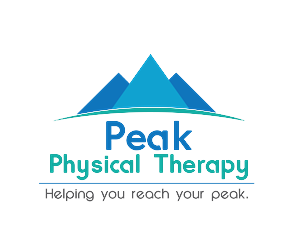 Design de Logo par Filip M pour Peak Physical Therapy | Design : #3667005