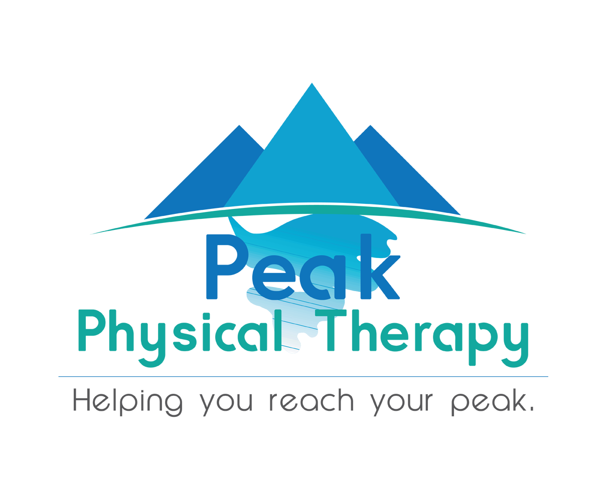Design de Logo par Filip M pour Peak Physical Therapy | Design #3667009