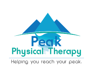 Design de Logo par Filip M pour Peak Physical Therapy | Design : #3667009